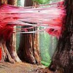 10 Locuri pe Pământ care sunt Imposibil de Explicat din Punct de Vedere ȘTIINȚIFIC